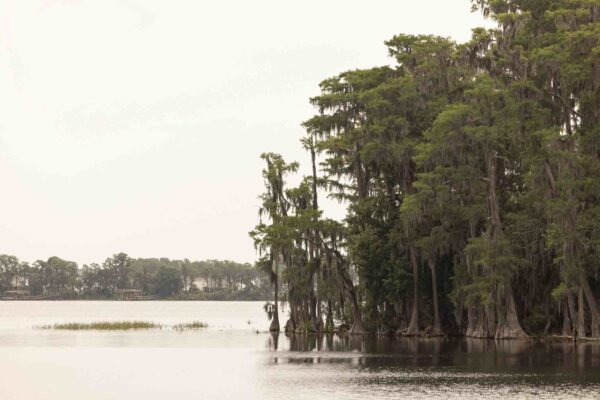 Lake Pickett10