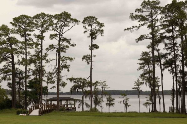Lake Pickett11